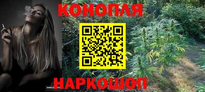 молекула духа Гатчина