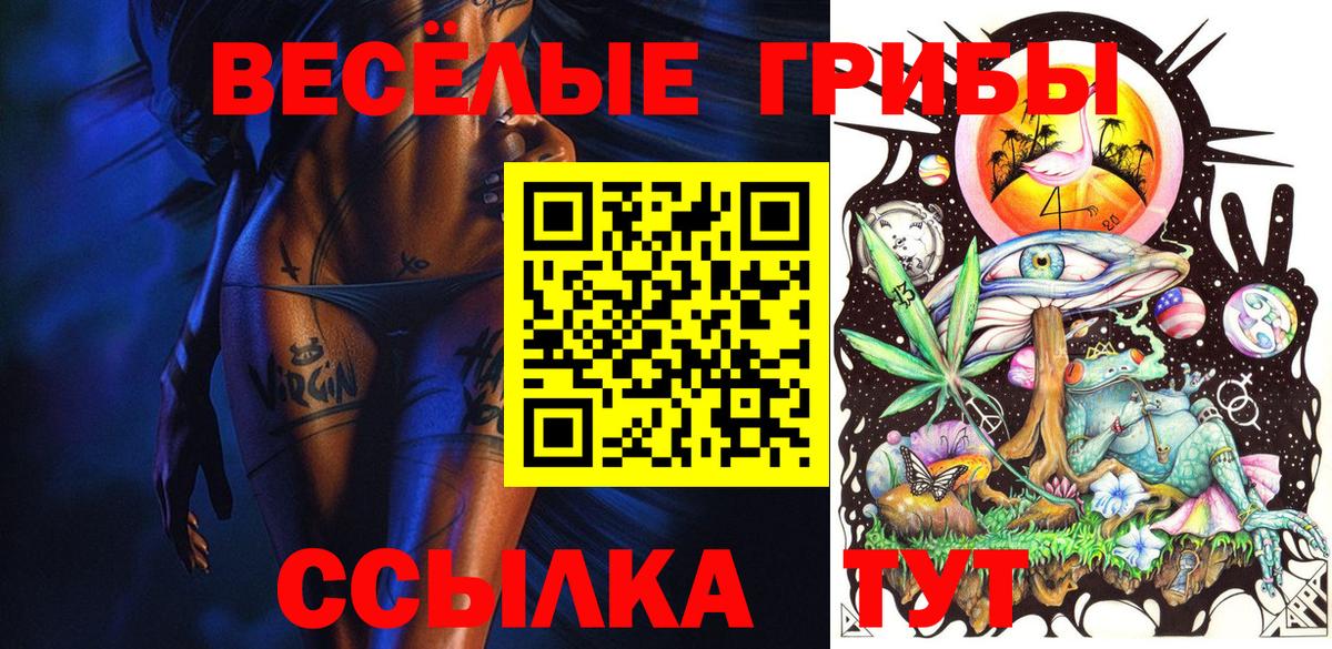 Псилоцибиновые грибы Psilocybine cubensis Кемерово