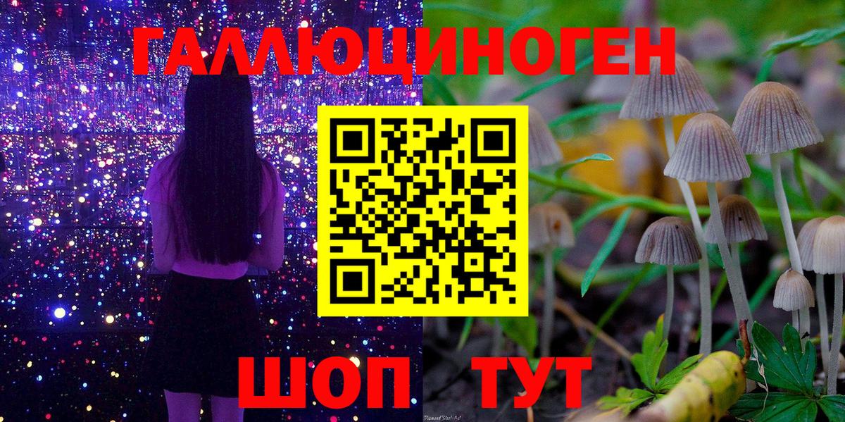 Псилоцибиновые грибы Psilocybine cubensis  где продают   Вход с VPN  Кемерово  Псилоцибиновые грибы MAGIC MUSHROOMS 