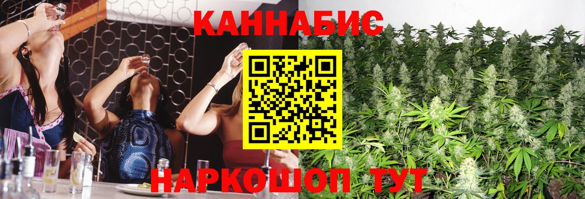 Каннабис SATIVA & INDICA Кемерово